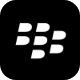 Blackberry Application Development 